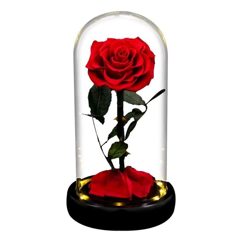Rose Éternelle sous Cloche Rouge Led XL | Birthday.ma